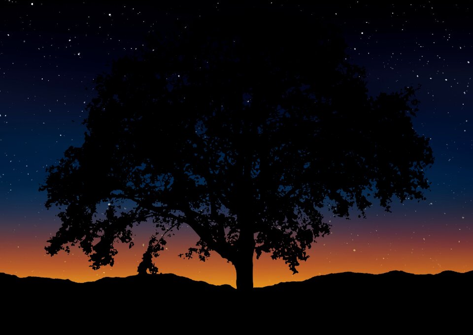 Nature sky black sky