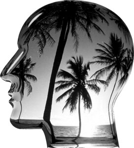 Idea imagination dreaming