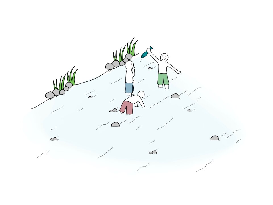 Water stream friends