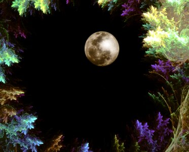 Light fractal fantasy night