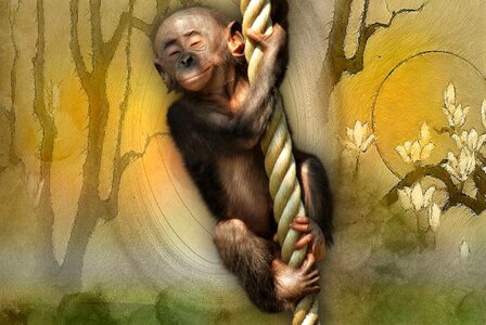Rope art pieces Free illustrations