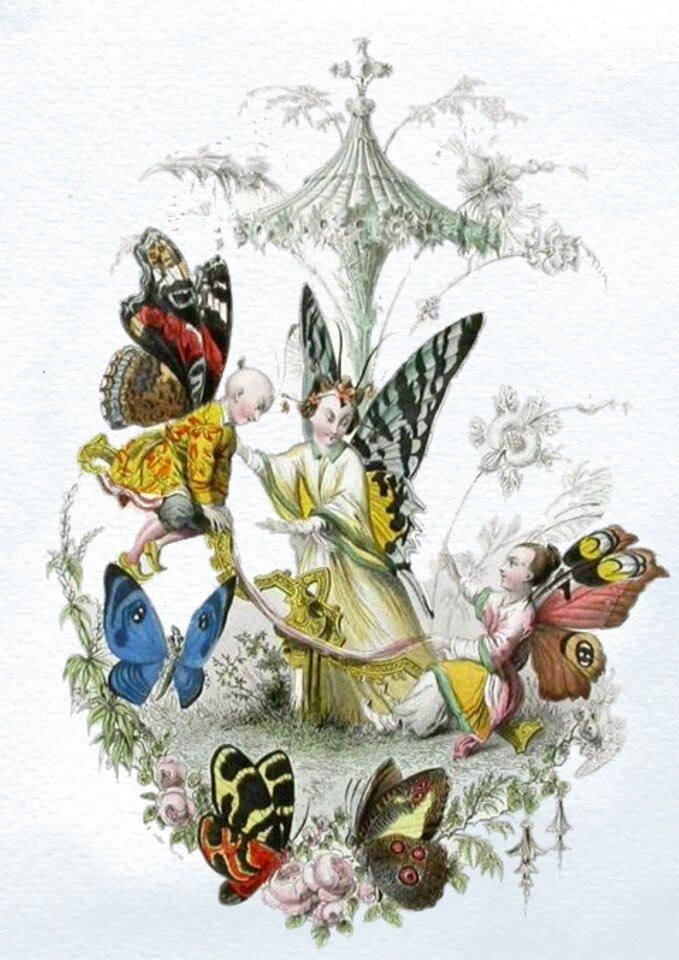 Fantasy forest wings