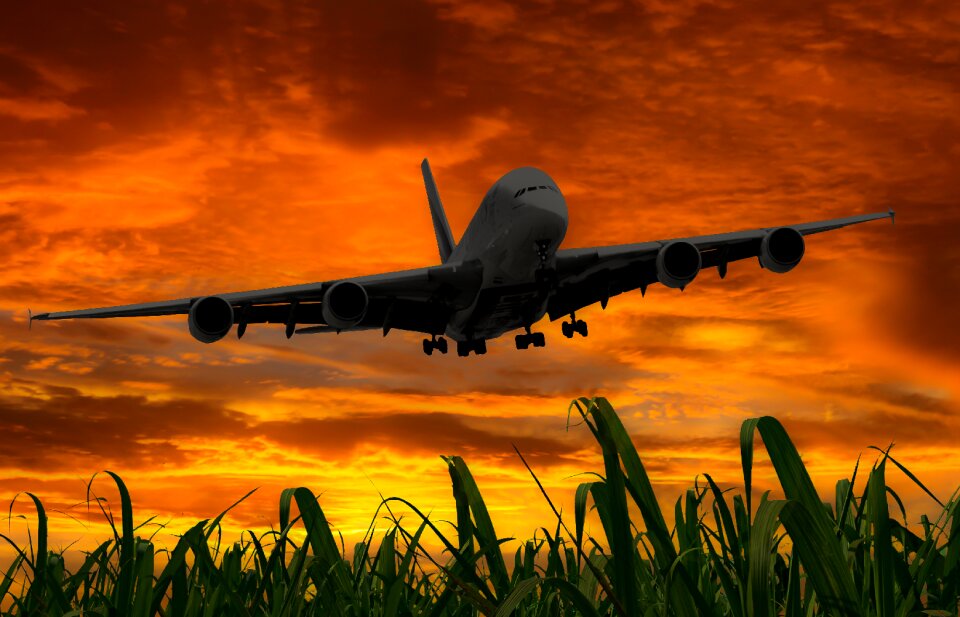 Holidays travel flight