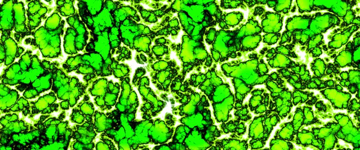 Brain slice green brain green banner
