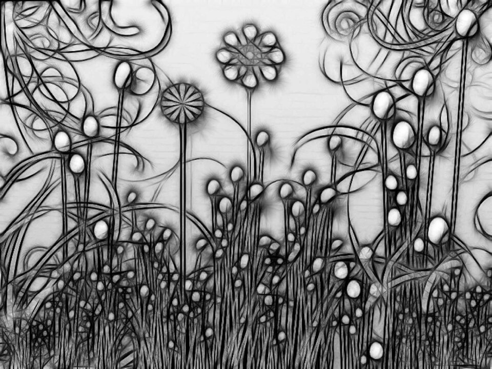 Photoshop in black and white Free illustrations