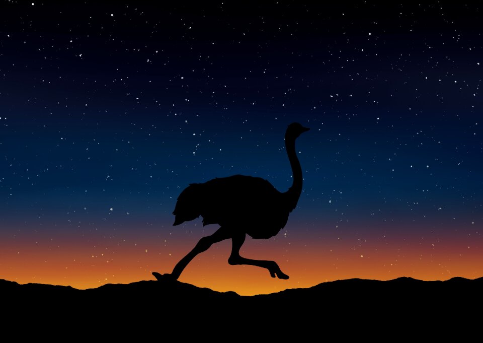 Nature sky Free illustrations