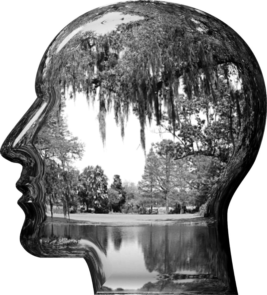 Idea imagination dreaming