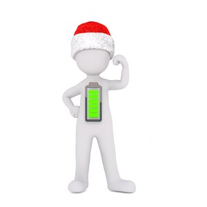 Isolated christmas 3d model