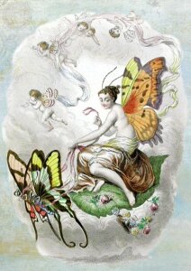 Butterfly fantasy forest
