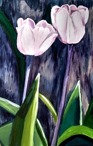Brush strokes canvas Free illustrations