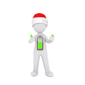Isolated christmas 3d model