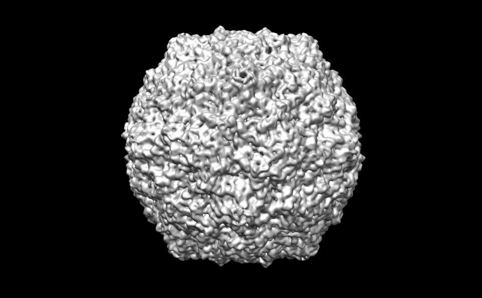 Rna 3d medical