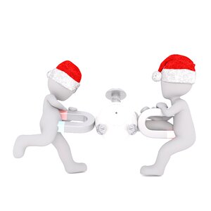 Isolated christmas 3d model
