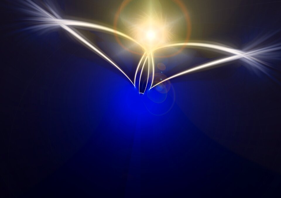 Angel wing decoration
