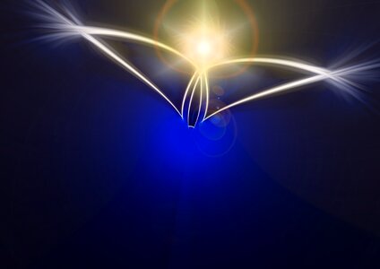 Angel wing decoration
