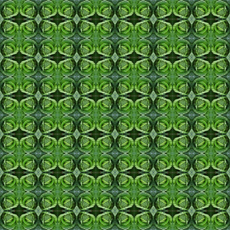 Vegetable background pattern