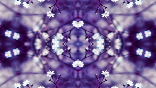 The background floral model