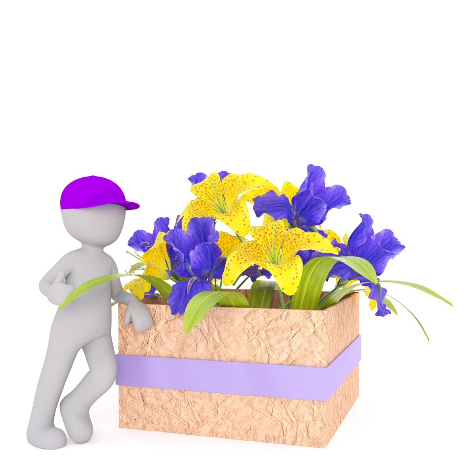 3d model full body