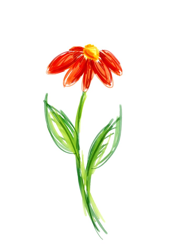 Blossom leaves zinnia