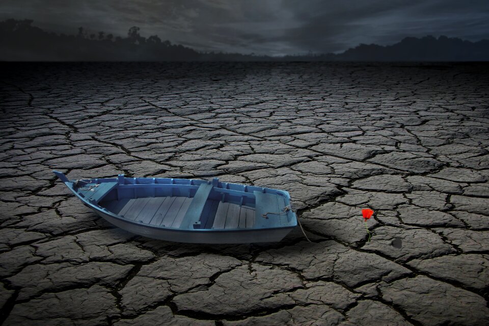 Lake drought flower