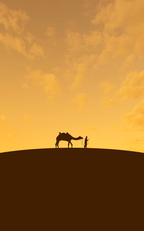 Arabian safari animal