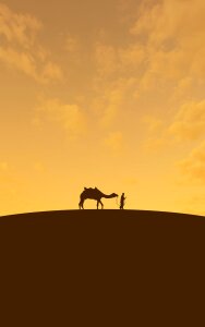 Arabian safari animal