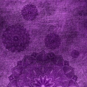 Lilac grunge vintage