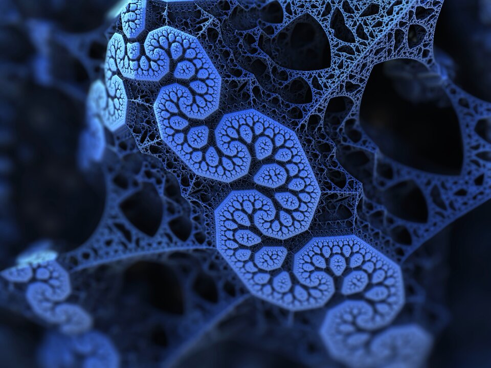 Network scientific fractal