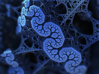 Network scientific fractal