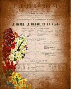 Newspaper plant flowers