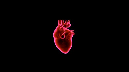 Cardiology health medicine
