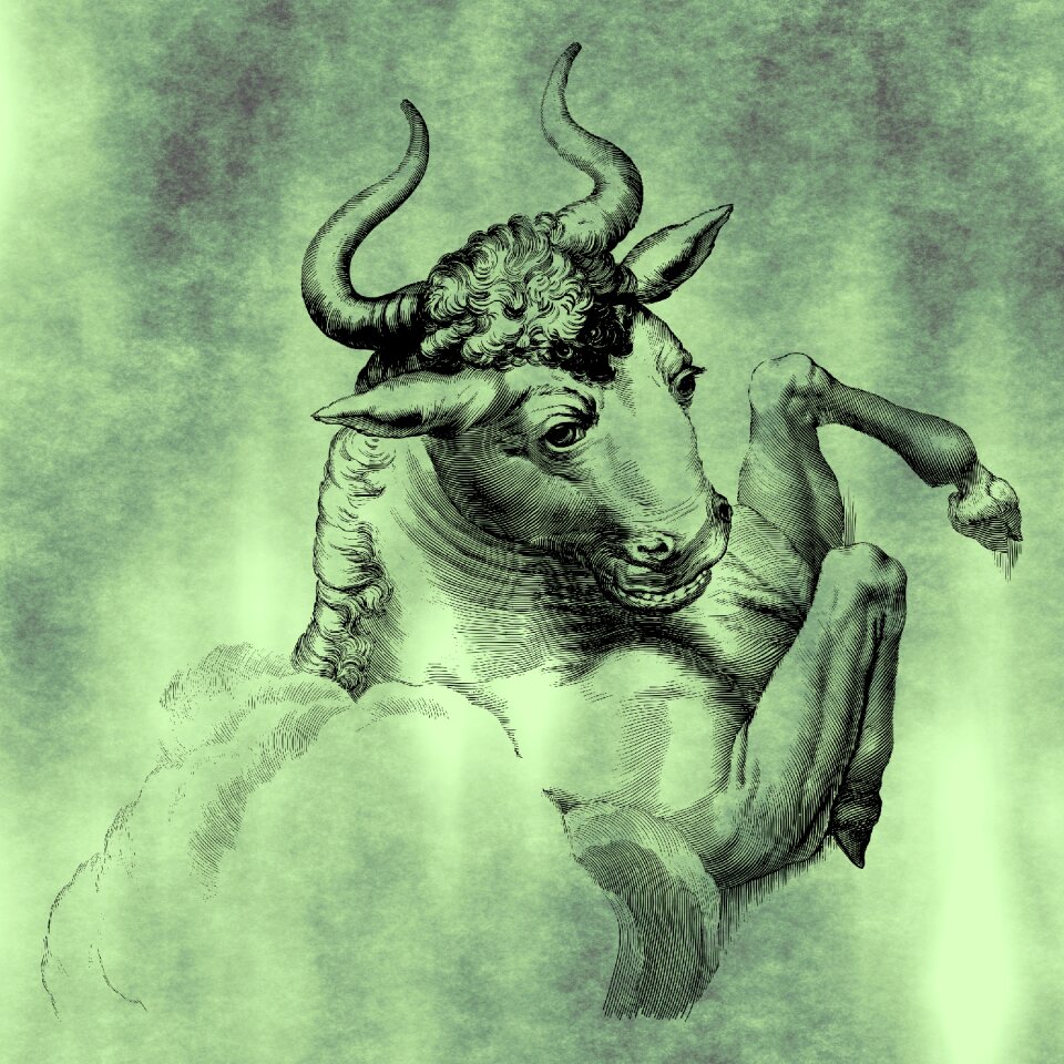 Nature horned wild