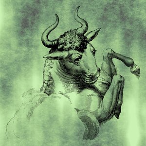 Nature horned wild