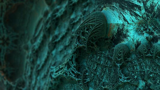 Fungus mould fractal