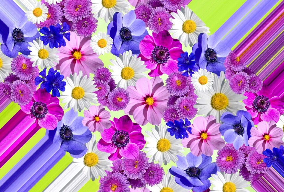 Nature plant summer