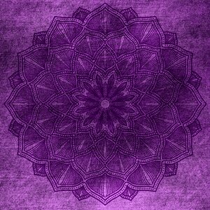 Lilac grunge vintage