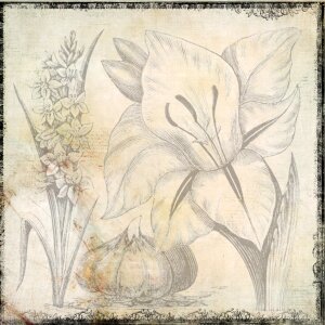 Flower bulb page