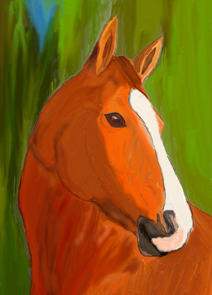 Animal stallion nature horse head