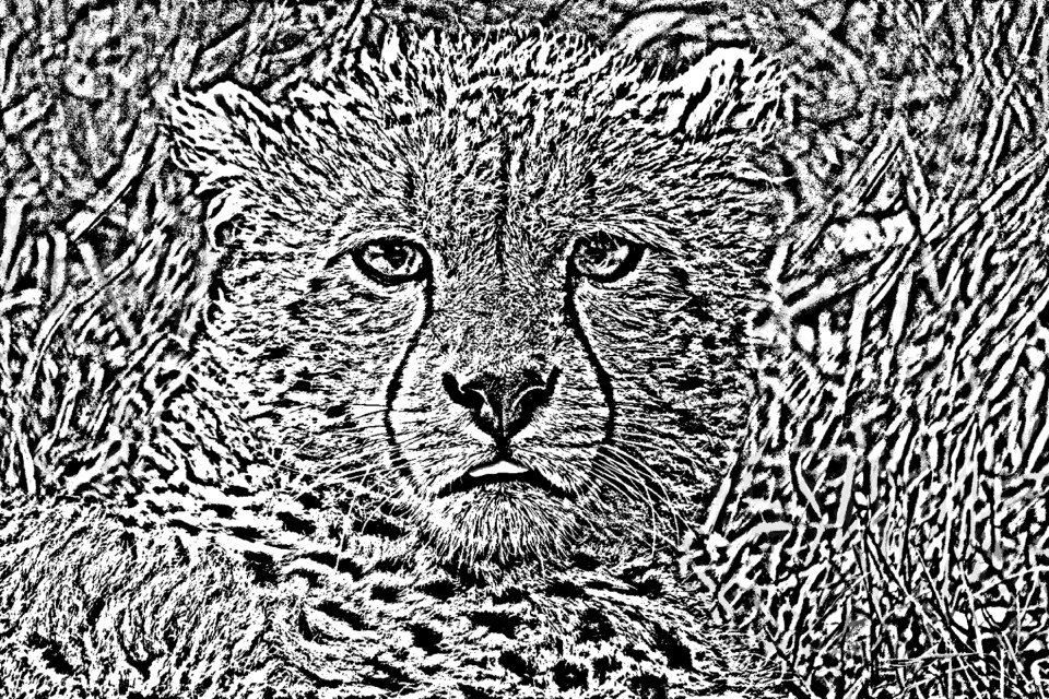 Black and white figure Free illustrations
