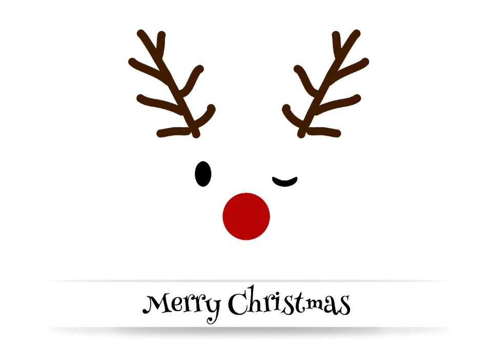 Rudi red currant rudolph