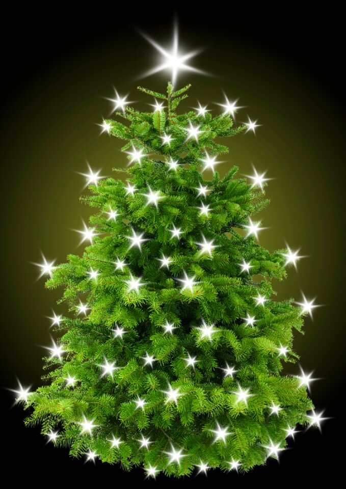 Tree star lighting