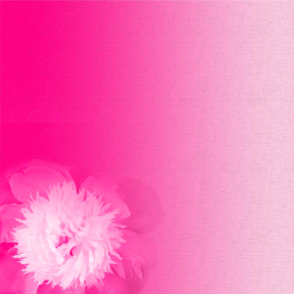 Background scrapbooking Free illustrations