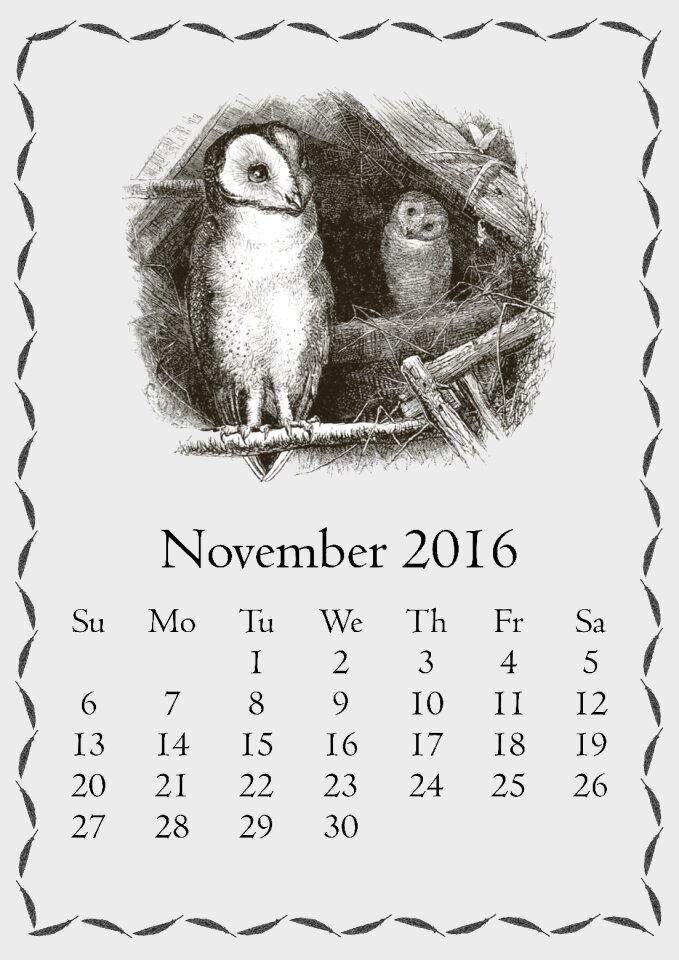 Owl bird vintage