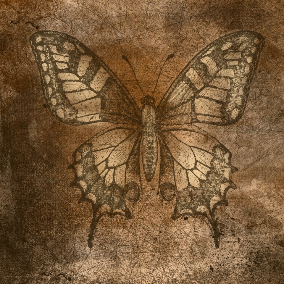 Scratches old texture