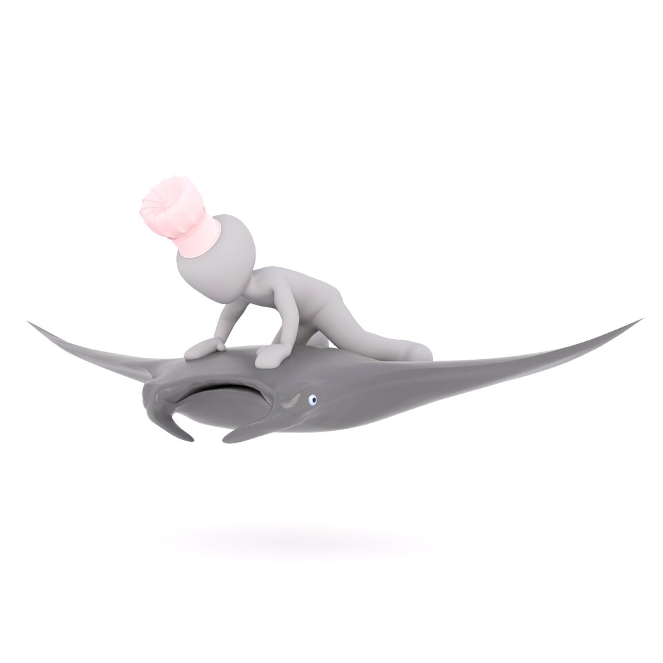 3d model 3d model