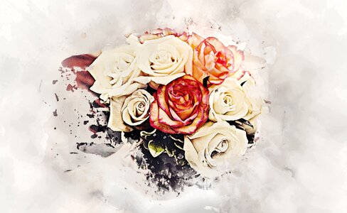 Abstract design beauty