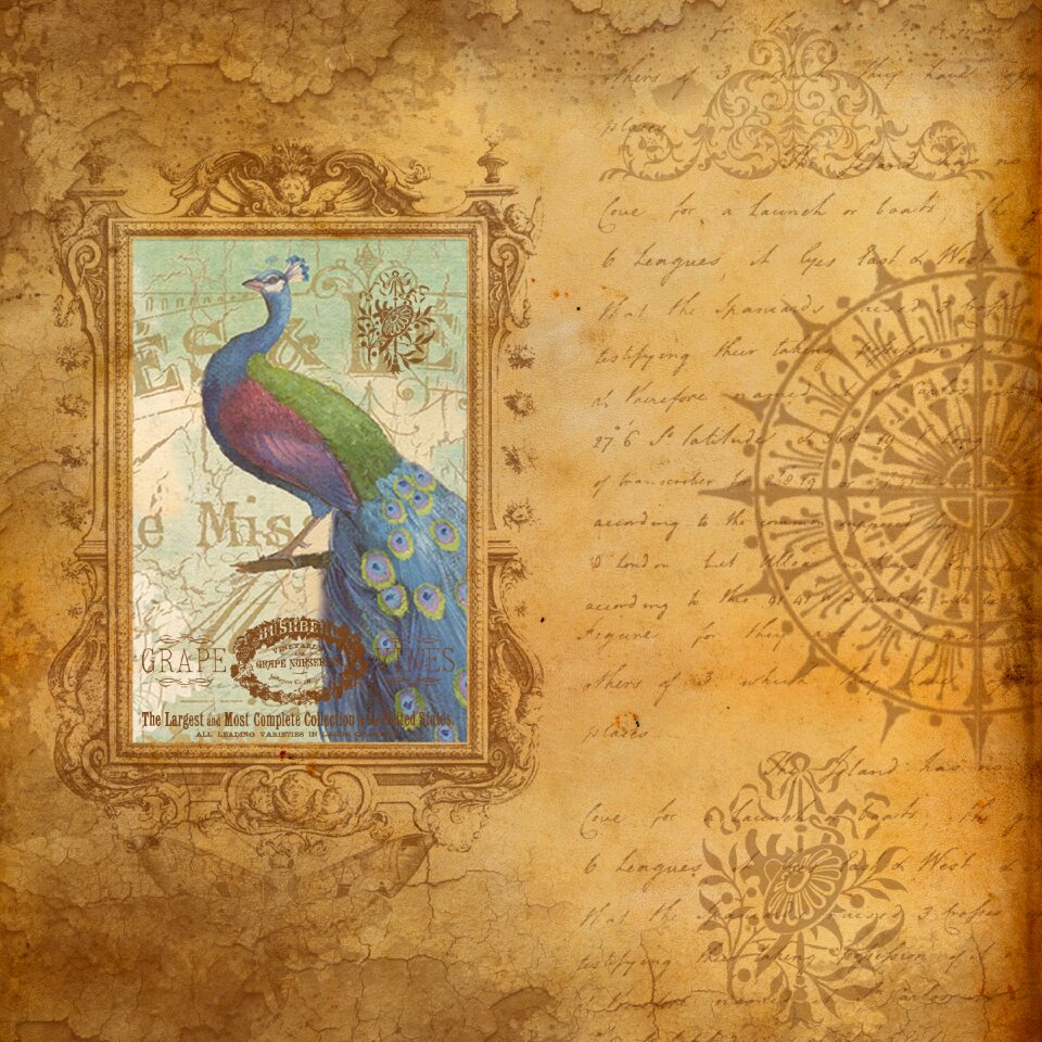 Bird crown beige