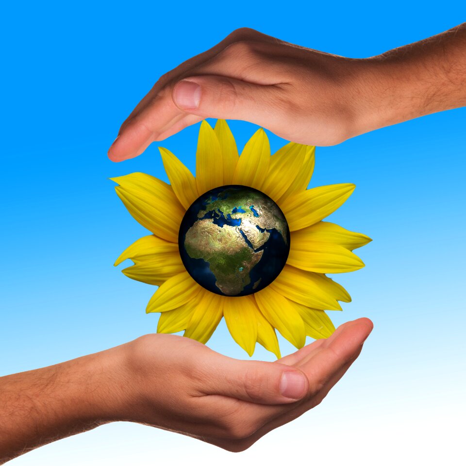 Sunflower globe earth