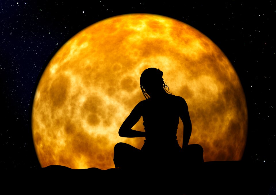 Yoga contemplation tree