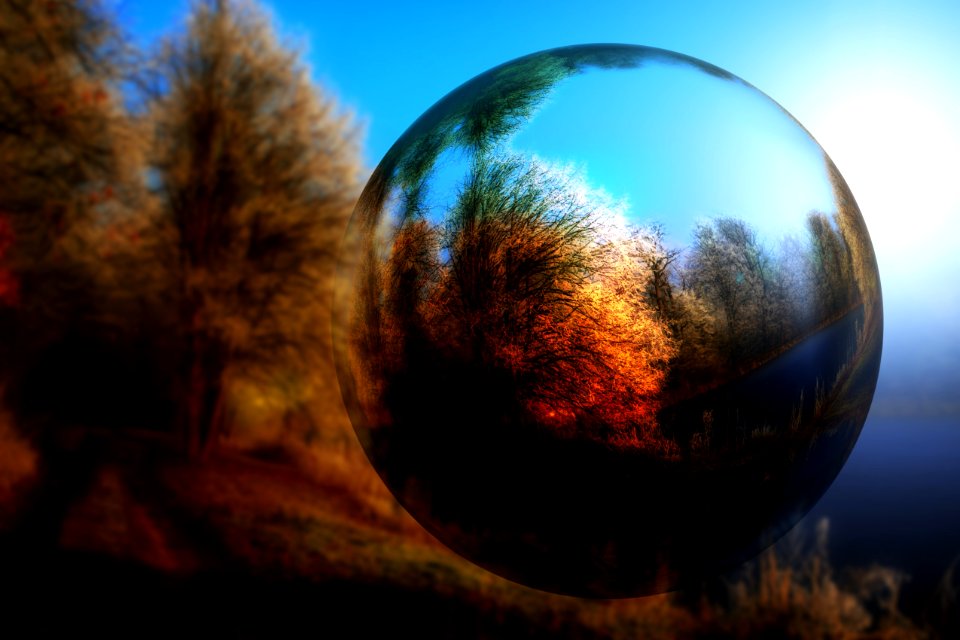 Glass mirroring autumn